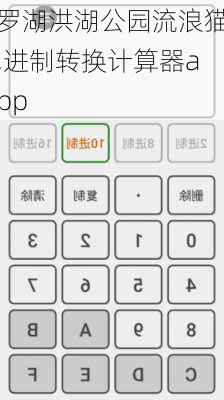 罗湖洪湖公园流浪猫,进制转换计算器app
