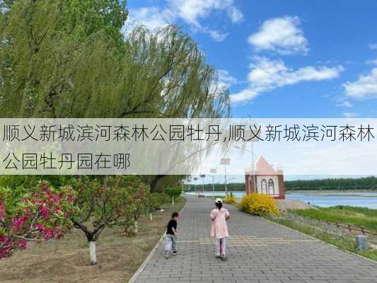 顺义新城滨河森林公园牡丹,顺义新城滨河森林公园牡丹园在哪