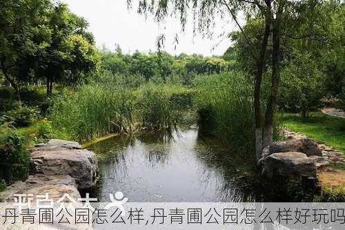 丹青圃公园怎么样,丹青圃公园怎么样好玩吗-第3张图片-豌豆旅游网