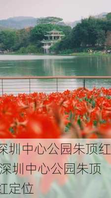 深圳中心公园朱顶红,深圳中心公园朱顶红定位-第2张图片-豌豆旅游网