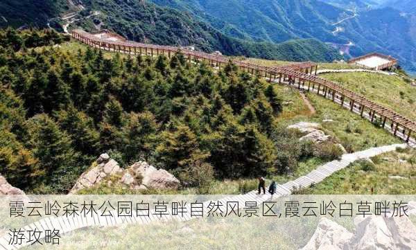 霞云岭森林公园白草畔自然风景区,霞云岭白草畔旅游攻略