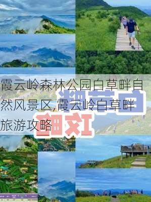 霞云岭森林公园白草畔自然风景区,霞云岭白草畔旅游攻略-第2张图片-豌豆旅游网