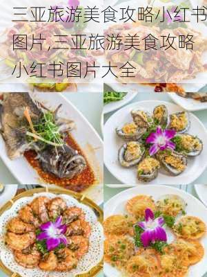 三亚旅游美食攻略小红书图片,三亚旅游美食攻略小红书图片大全-第2张图片-豌豆旅游网