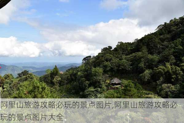 阿里山旅游攻略必玩的景点图片,阿里山旅游攻略必玩的景点图片大全-第3张图片-豌豆旅游网