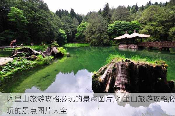 阿里山旅游攻略必玩的景点图片,阿里山旅游攻略必玩的景点图片大全-第2张图片-豌豆旅游网