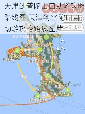 天津到普陀山自助游攻略路线图,天津到普陀山自助游攻略路线图片