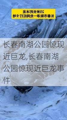 长春南湖公园惊现近巨龙,长春南湖公园惊现近巨龙事件-第1张图片-豌豆旅游网