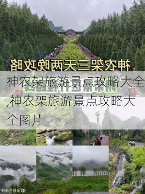 神农架旅游景点攻略大全,神农架旅游景点攻略大全图片-第2张图片-豌豆旅游网