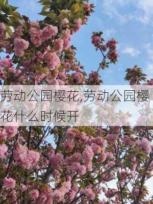 劳动公园樱花,劳动公园樱花什么时候开-第3张图片-豌豆旅游网