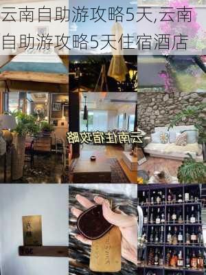 云南自助游攻略5天,云南自助游攻略5天住宿酒店-第3张图片-豌豆旅游网