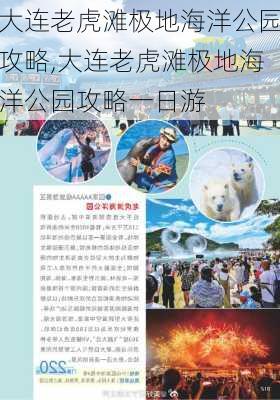 大连老虎滩极地海洋公园攻略,大连老虎滩极地海洋公园攻略一日游-第3张图片-豌豆旅游网