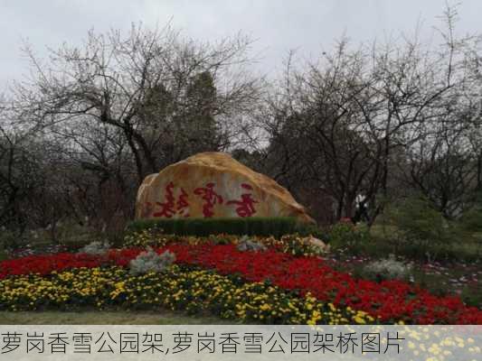 萝岗香雪公园架,萝岗香雪公园架桥图片