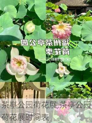 茶亭公园荷花展,茶亭公园荷花展时间表-第1张图片-豌豆旅游网