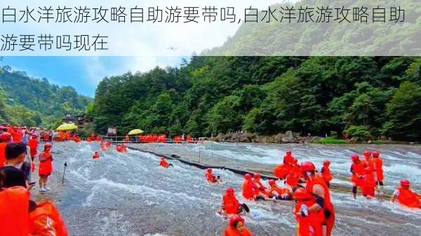 白水洋旅游攻略自助游要带吗,白水洋旅游攻略自助游要带吗现在-第1张图片-豌豆旅游网