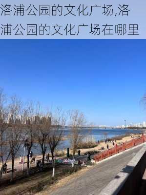 洛浦公园的文化广场,洛浦公园的文化广场在哪里-第1张图片-豌豆旅游网