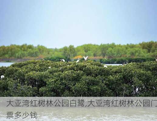 大亚湾红树林公园白鹭,大亚湾红树林公园门票多少钱