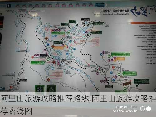 阿里山旅游攻略推荐路线,阿里山旅游攻略推荐路线图-第2张图片-豌豆旅游网