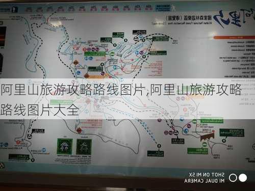 阿里山旅游攻略路线图片,阿里山旅游攻略路线图片大全