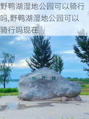 野鸭湖湿地公园可以骑行吗,野鸭湖湿地公园可以骑行吗现在-第3张图片-豌豆旅游网