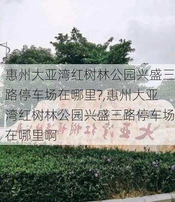 惠州大亚湾红树林公园兴盛三路停车场在哪里?,惠州大亚湾红树林公园兴盛三路停车场在哪里啊