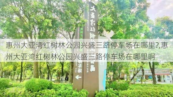 惠州大亚湾红树林公园兴盛三路停车场在哪里?,惠州大亚湾红树林公园兴盛三路停车场在哪里啊-第2张图片-豌豆旅游网