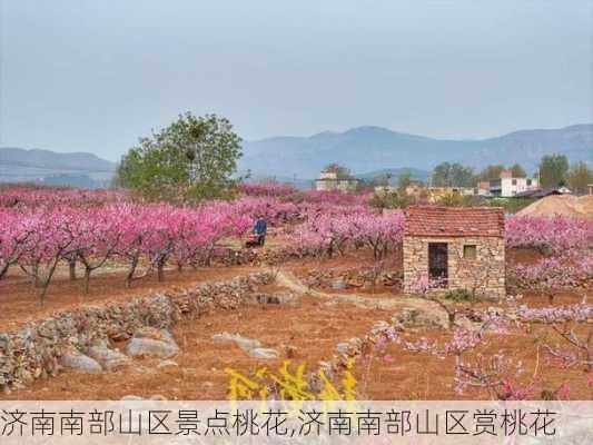 济南南部山区景点桃花,济南南部山区赏桃花