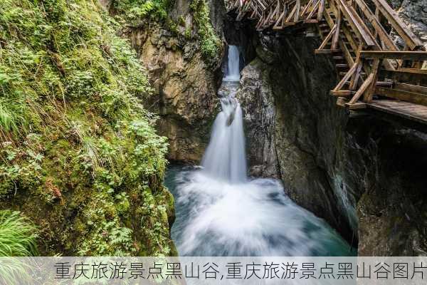 重庆旅游景点黑山谷,重庆旅游景点黑山谷图片-第2张图片-豌豆旅游网