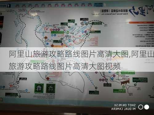 阿里山旅游攻略路线图片高清大图,阿里山旅游攻略路线图片高清大图视频-第2张图片-豌豆旅游网