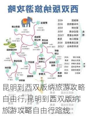 昆明到西双版纳旅游攻略自由行,昆明到西双版纳旅游攻略自由行路线-第2张图片-豌豆旅游网