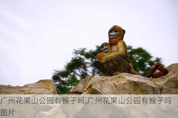 广州花果山公园有猴子吗,广州花果山公园有猴子吗图片-第1张图片-豌豆旅游网