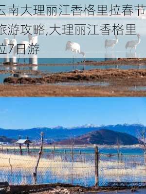 云南大理丽江香格里拉春节旅游攻略,大理丽江香格里拉7日游-第3张图片-豌豆旅游网